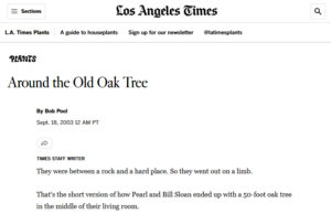 Around-the-Old-Oak-Tree-LA-Times-18-set-2003