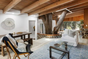 soggiorno casa Topanga Canyon